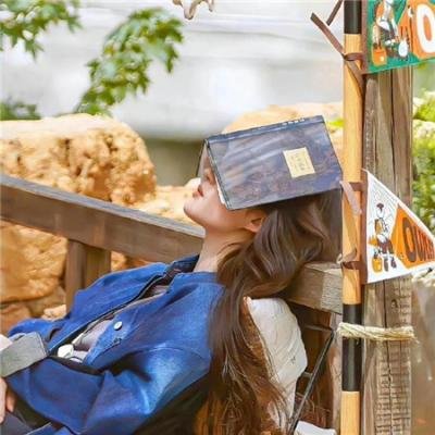我的天才女友 第三季